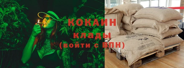 гашик Богданович