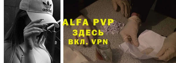 гашик Богданович