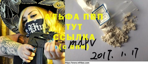 гашик Богданович