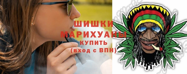 гашик Богданович