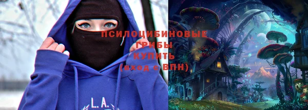 наркотики Богородицк